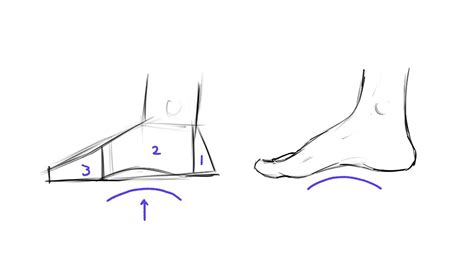 Drawing Feet The Easy Way Medial View Part 2 Youtube