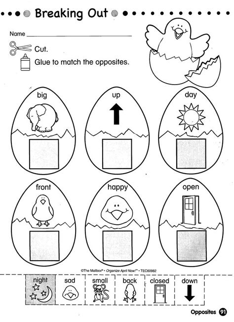 Free Printable Preschool Worksheets Opposites Willis Bedards School