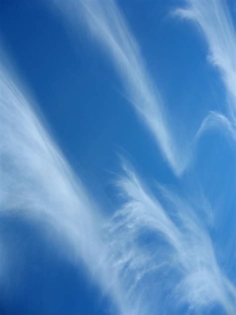 Cirrus Clouds Over Leesburg Va 5 52009 Cirrus Clouds O Flickr