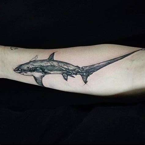My Thresher Shark Tattoo I Got Yesterday Rsharks