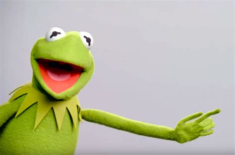 Kermit The Frogs New Voice Matt Vogel Takes Over For Steve Whitmire