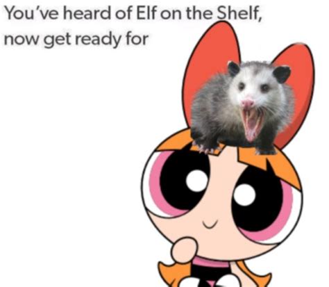 Elf On The Shelf Memes 36 Pics