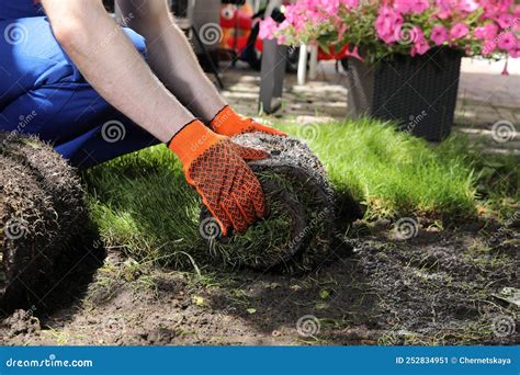Gardener Laying Grass Sod On Backyard Closeup Stock Image Image Of