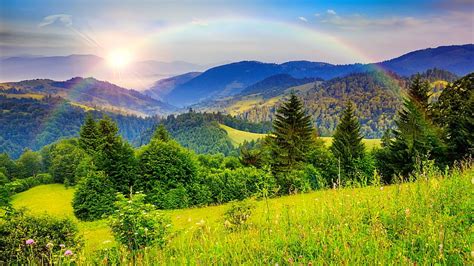 After The Rain Hills Colorful Grass Greenery Bonito Rainbow Sky