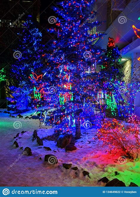 Winter Wonderland Stock Photo Image Of Holiday Christmas