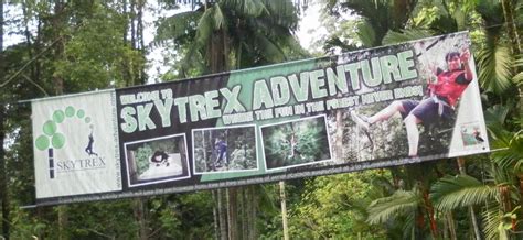 If you're 13 y/o and older, it is advisable to book for the big thrill challenge instead of the little adventure, as it is места, в которые люди ходят после skytrex adventure park. mybeadsnbutton