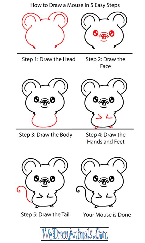 How To Draw A Baby Mouse