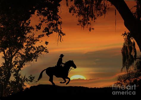Happy Trails Cowboy Riding Off Into The Sunset Photograph By Stephanie