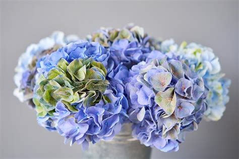 Beautiful Hydrangea Flowers In A Vase On A Table Bouquet Of Green And