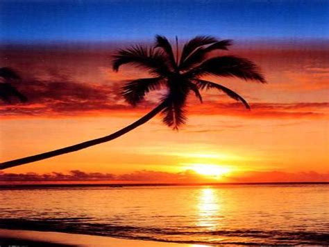 Top 10 Amazing Things 10 Beautiful Sunset Views