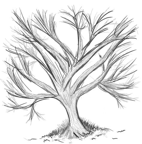 Random Black N White Tree Sketch By Chiichiimouse On Deviantart