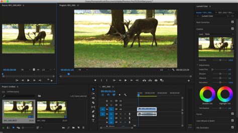 How To Create A Cinematic Layer For Premiere Pro Filmstro