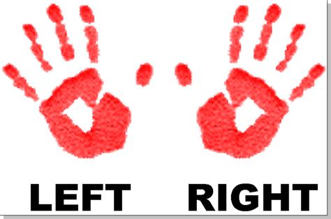 Left And Right Hand Png Transparent Left And Right Handpng Images