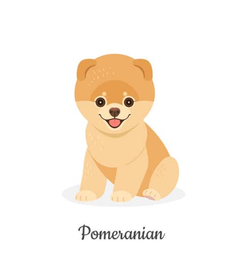Cartoon Of The Pomeranian Dog Illustrations Royalty Free Vector