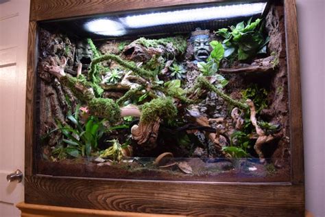 Custom Made Wooden Reptile Terrarium Vivarium Tank For Sale In Salem