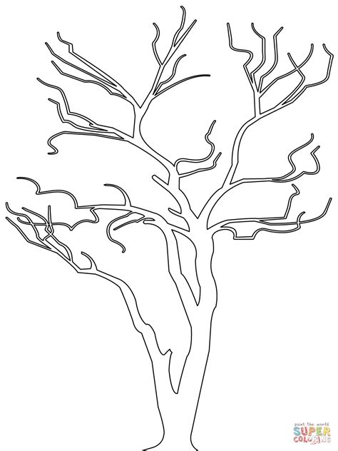 Bare Tree Outline Coloring Page Free Printable Coloring Pages