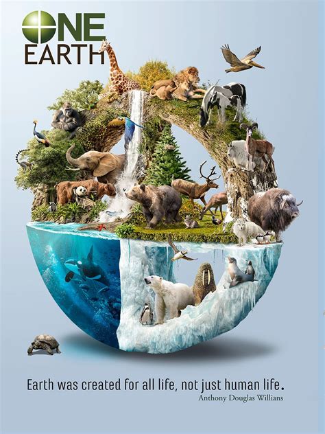 One Earth Project On Behance Earth Projects Environmental Art