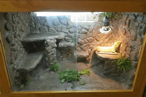 That is really smart.i just got a bearded dragon for my birthday and i was looking for great ideas to decorate the enclosure. How To Make A Custom Bearded Dragon Cage in 2020 (With ...
