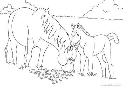 Das Elfte Ausmalbild Mit Pferd Und Fohlen Ausmalbilder Pferde Viele