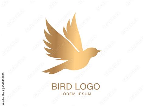 Gold Bird Logo Vector Bird Logo Bird Icon Stock Vector Adobe Stock