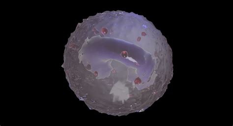 3d Monocyte Granule Nucleus Turbosquid 1351009