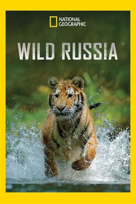 Wild Russia Tv Series 2008 2018 — The Movie Database Tmdb