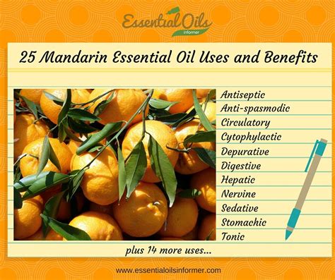 Mandarin Essential Oil Infographic Mandarin Essential Oil Essential