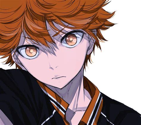 Hinata Shouyou Wiki Anime Amino