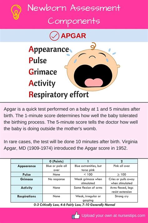 The Apgar Scoring System Was Developed By Dr Virginia Apgar As A