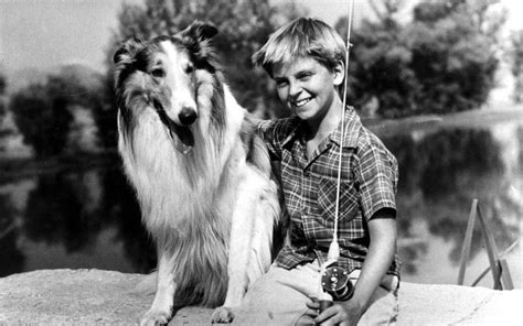 Lassie Tv Show Drawings First Batman Then Superman And Now