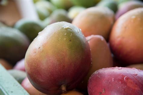 El Mango Sus Variedades Y Cómo Distinguirlas