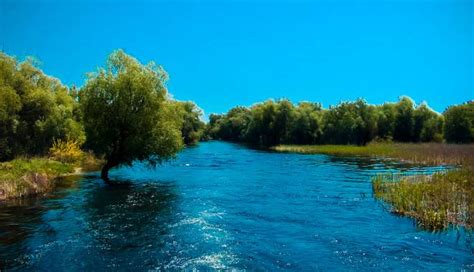 Biodiversitatea Deltei Dunării Prezentată La Săptămâna