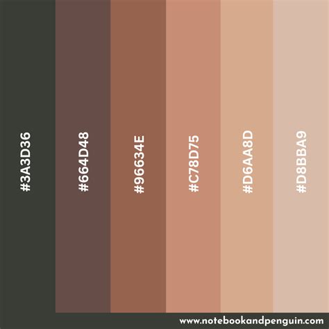 Beautiful Skin Tone Color Palettes Hex Codes Included