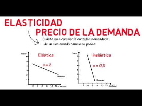 Es probable que las reglas de la interacción social en rusia sean diferentes a las de tu país. Elasticidad de la demanda | Cap. 6 - Microeconomía - YouTube
