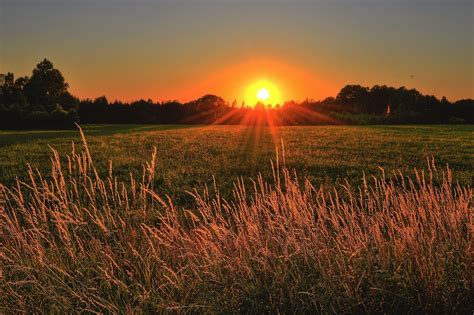 Brown And Green Grass Field During Sunset · Free Stock Photo