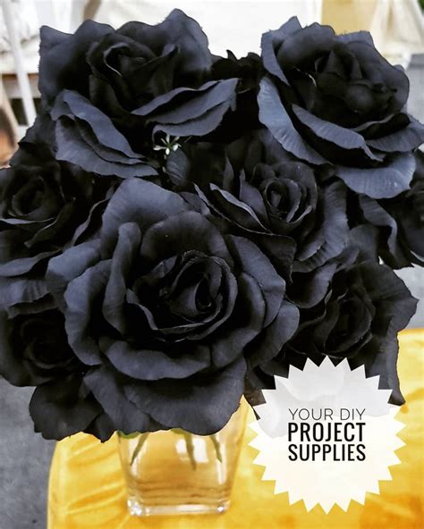 bunga rose hitam sewa black rose  diy project rental