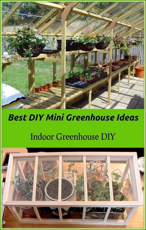 Indoor Greenhouse Diy Can Be Fun And Rewarding Rachyl Gardening
