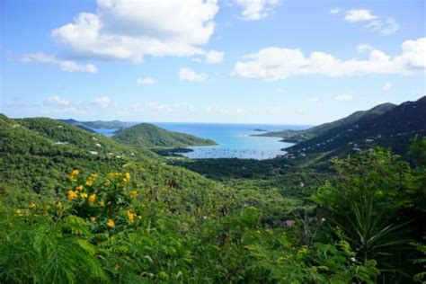15 Things To Do In St John Usvi For Cruise Visitors
