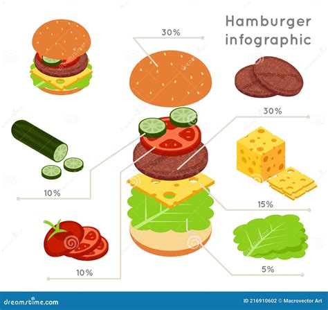 Hamburger Ingredients Flat Isometric Style Vector Infographics Stock