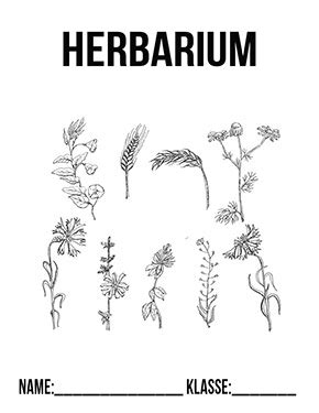 Herbarium Deckblatt Vorlage Pdf Zimzimmer