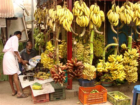 Bananas There Are Hundreds Of Varieties Of Bananas In Kerala Kerala