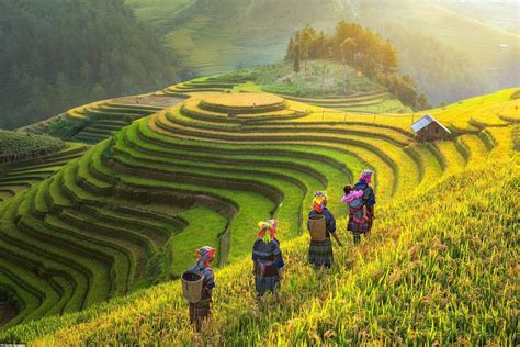 Trước một đội tuyển có sự ngang ngửa về chất lượng và cũng cần một. Say Mê Với Cảnh Đẹp Thiên Nhiên Của Quê Hương Việt Nam ...