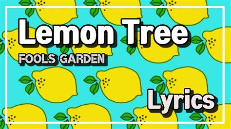 lemon tree lyrics