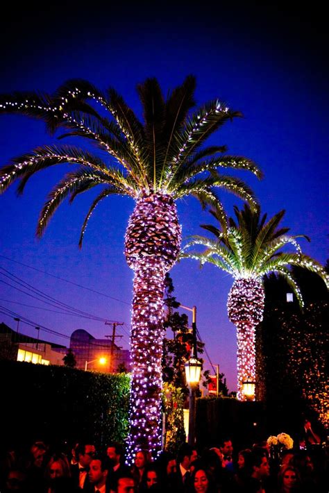 Palm Tree Christmas Tree Palm Tree