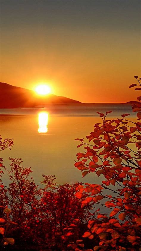 Pin By Alisha Langford On Pretty Gs Pinterest Autumn Sunsets