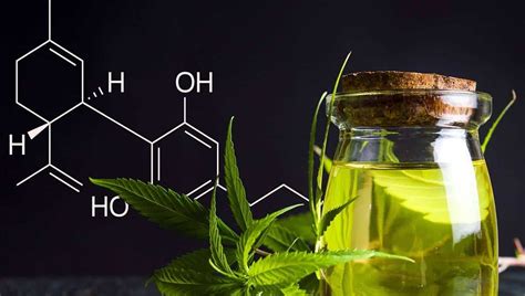 cbd oil guide benefits uses dosage and more… healspire