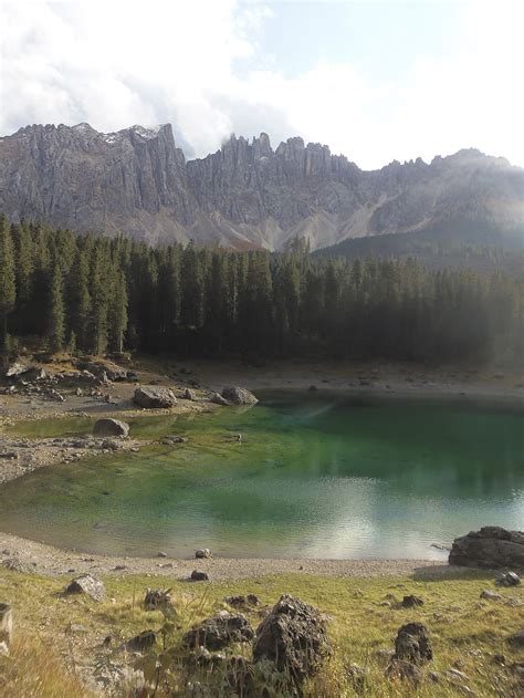 Free Download Dolomites Lago Di Carezza Karersee Lake Trees