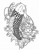 Koi Fish Coloring Pages Paradise Realistic Adults Template Coy Color Kids Templates Popular sketch template