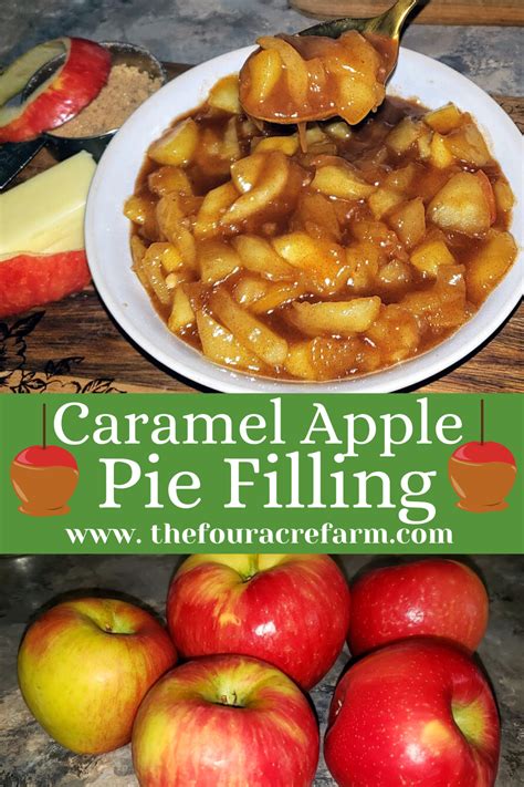 Homemade Apple Pie Filling The Four Acre Farm Recipe Apple Pies Filling Caramel Apple Pie