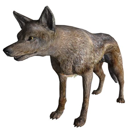 Coyote (Fallout: New Vegas) - The Vault Fallout wiki - Fallout 4, Fallout: New Vegas, and more!